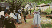 游园.gif